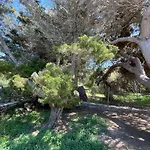 Сasa de vacaciones La Casetta Di Rosanna -
