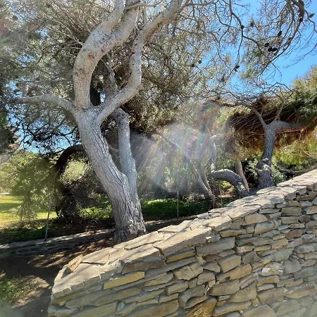 La Casetta Di Rosanna - Holiday home *